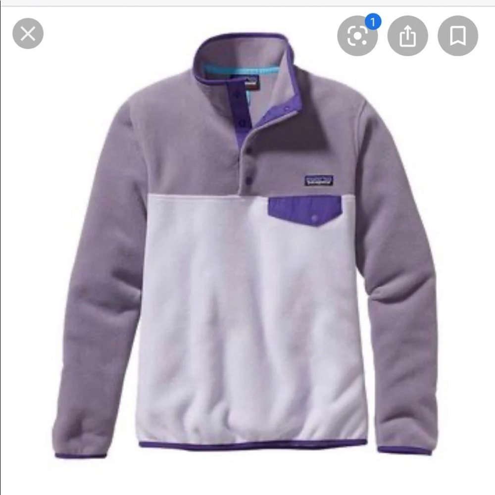 Patagonia synchilla fleece